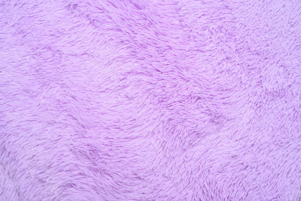 Tapis SILK Moderne Violet 200 x 300 cm Salon Certifié ÖKOTEX Qualité