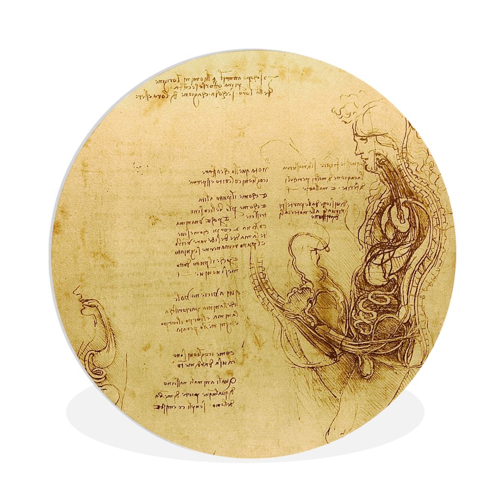 MuchoWow Rundes Wandbild - Runde Bilder Die menschliche Fortpflanzung - Leonardo da Vinci Ø 90 cm Kreis Wanddekoration Kunststoff - Wandkreis - ...