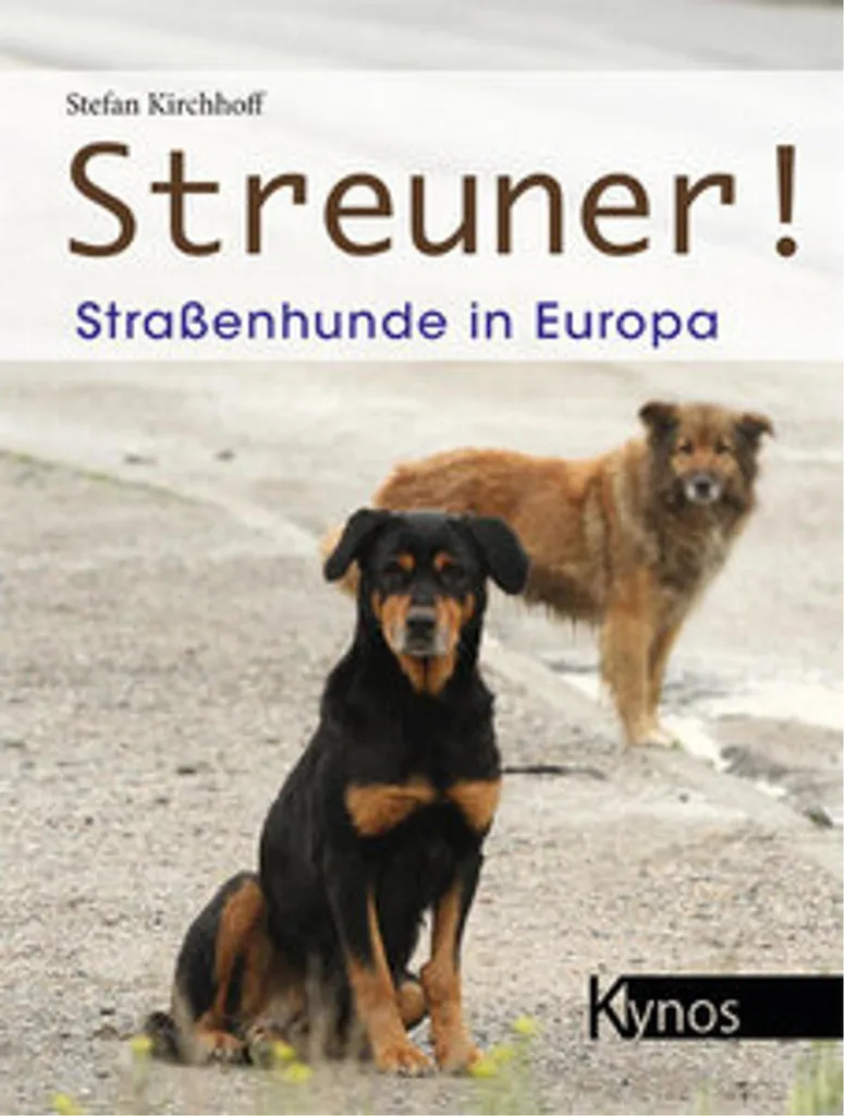Streuner! Idée cadeau idéale pour enfants et adultes fans de jeux