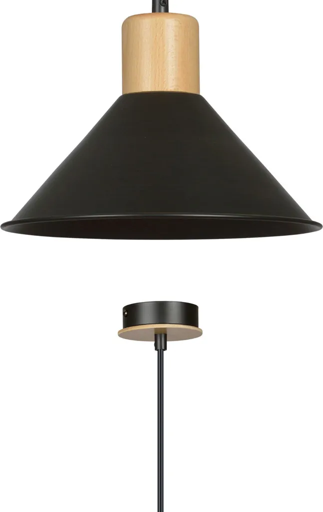 Suspension Noire Rowen 1 E27 Finition Matte Éclairage Design Sans Reflet