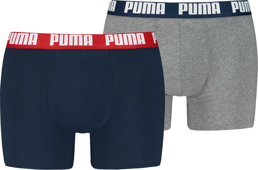Puma Briefs pack 701226387-006 in Multicolored color size small