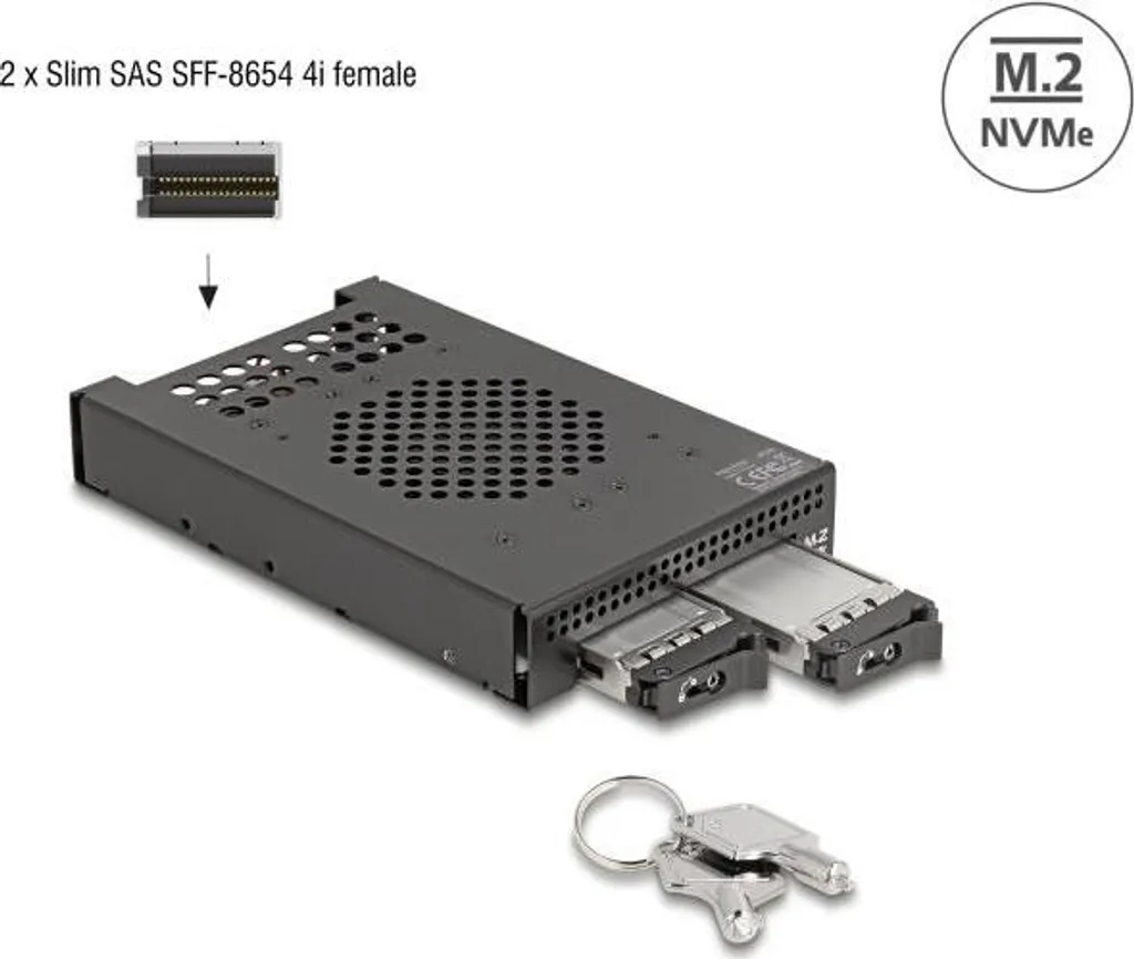 Cadre Amovible NVMe Double Baie M.2 vers SFF-8654 pour Baie de 3.5''