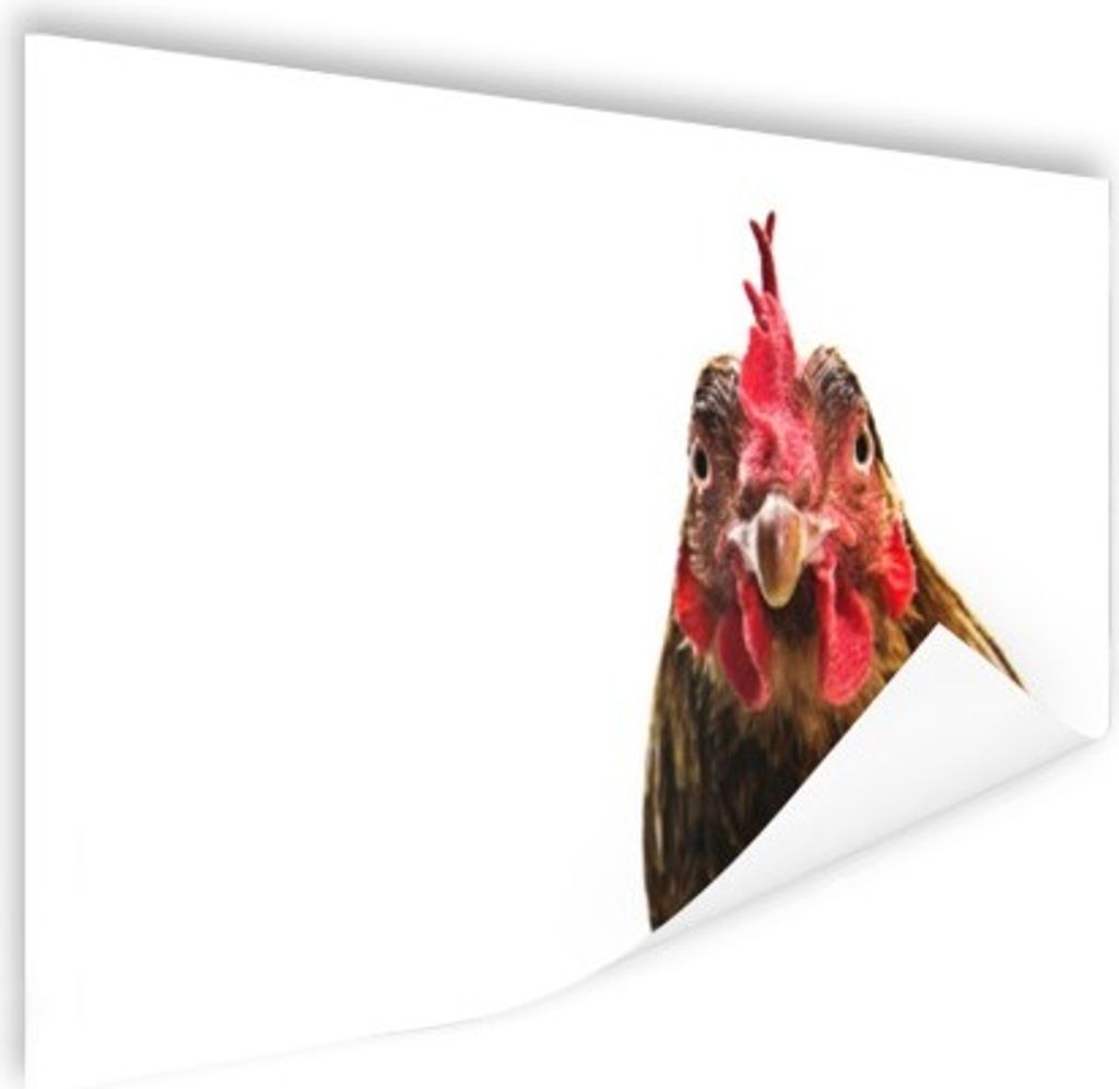 MuchoWow Poster Nahaufnahme Hahn Fotodruck 180x120 cm - Fotoplakat