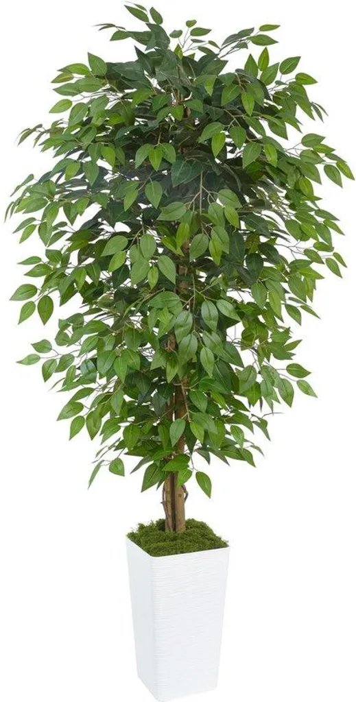 Plante artificielle Ficus de 180 cm - Arbre artificiel aspect naturel