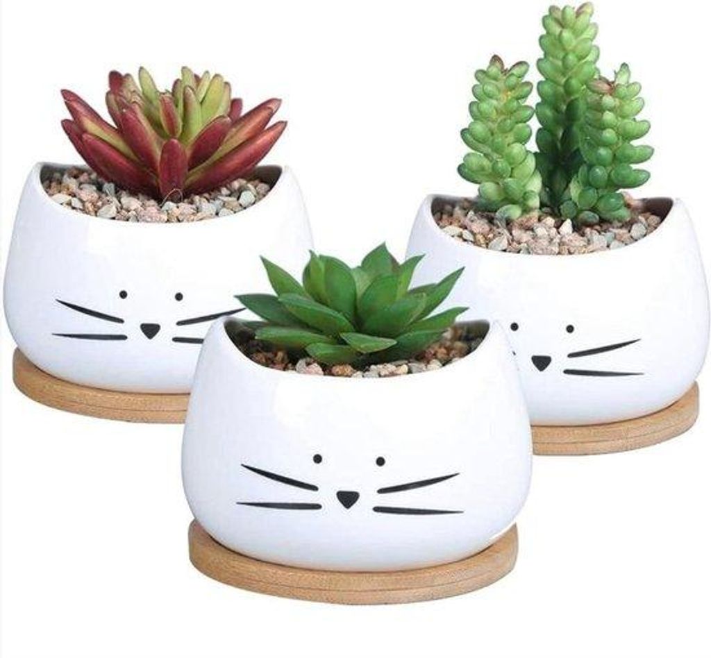 Kleine Houten Bloempotten Voor Vetplanten En Cactussen - 3 Stuk - Voor Binnen En Buiten