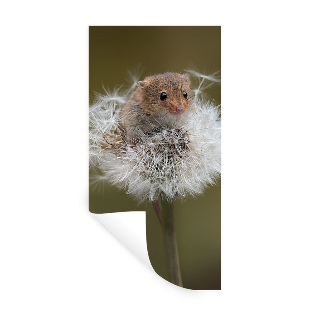 MuchoWow Wandtattoo Wandsticker Wandaufkleber Maus - Jung - Blumen 80x160 cm Selbstklebend und Repositionierbar - Sticker - Dekorfolie
