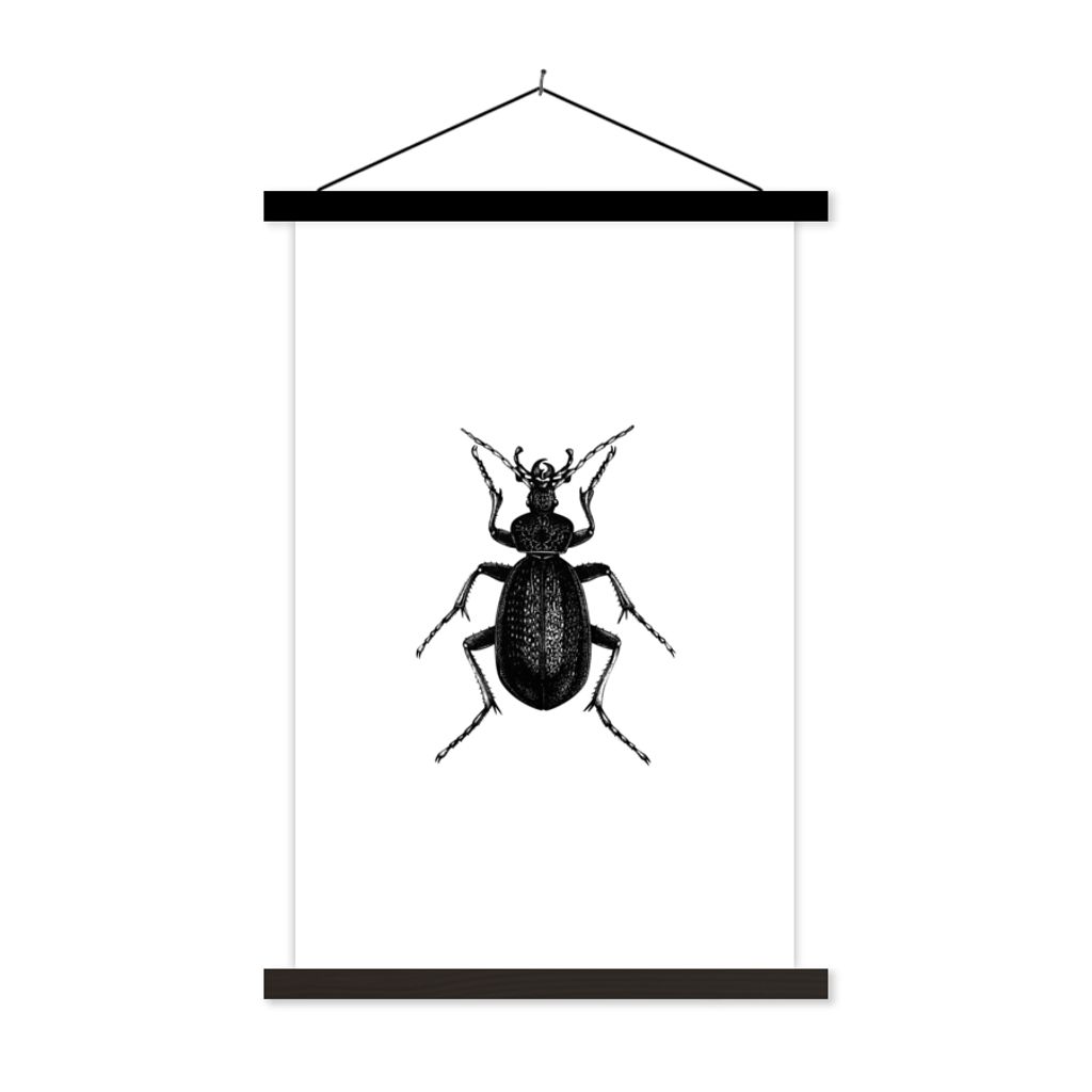 MuchoWow Textilposter Schwarz und weiß - Käfer - Vintage - Insekten 40x60 cm mit schwarzem Rahmen - Wanddekorationen