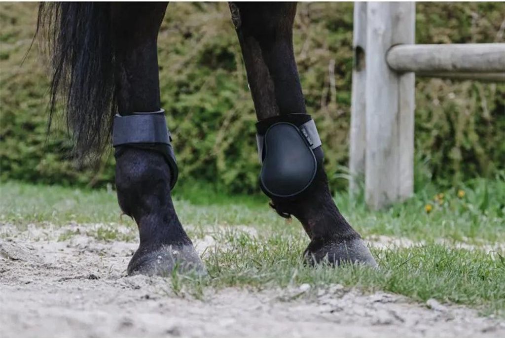 Riding World Fesselkopfstiefel Schwarz Full Schwarz Full