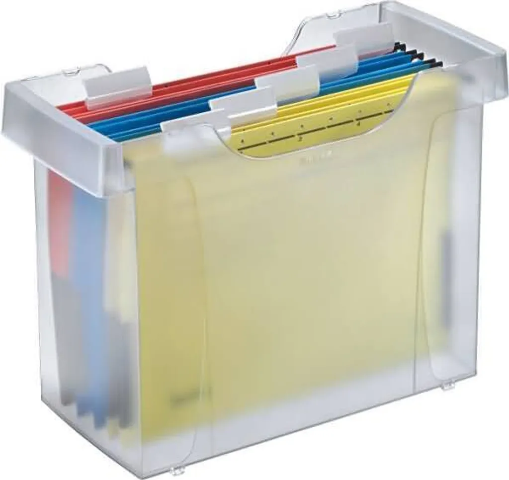 Boîte d'archivage Leitz Plus Mini-dossier en plastique robuste Frost