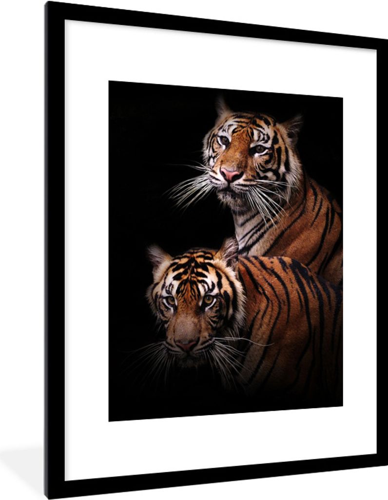 MuchoWow Gerahmtes Poster Tiger - Schwarz - Duo 60x80 cm - Poster mit Schwarzem Bilderrahmen Wandposter Rahmen Foto Bilder - Wohnzimmer - Dekorat...