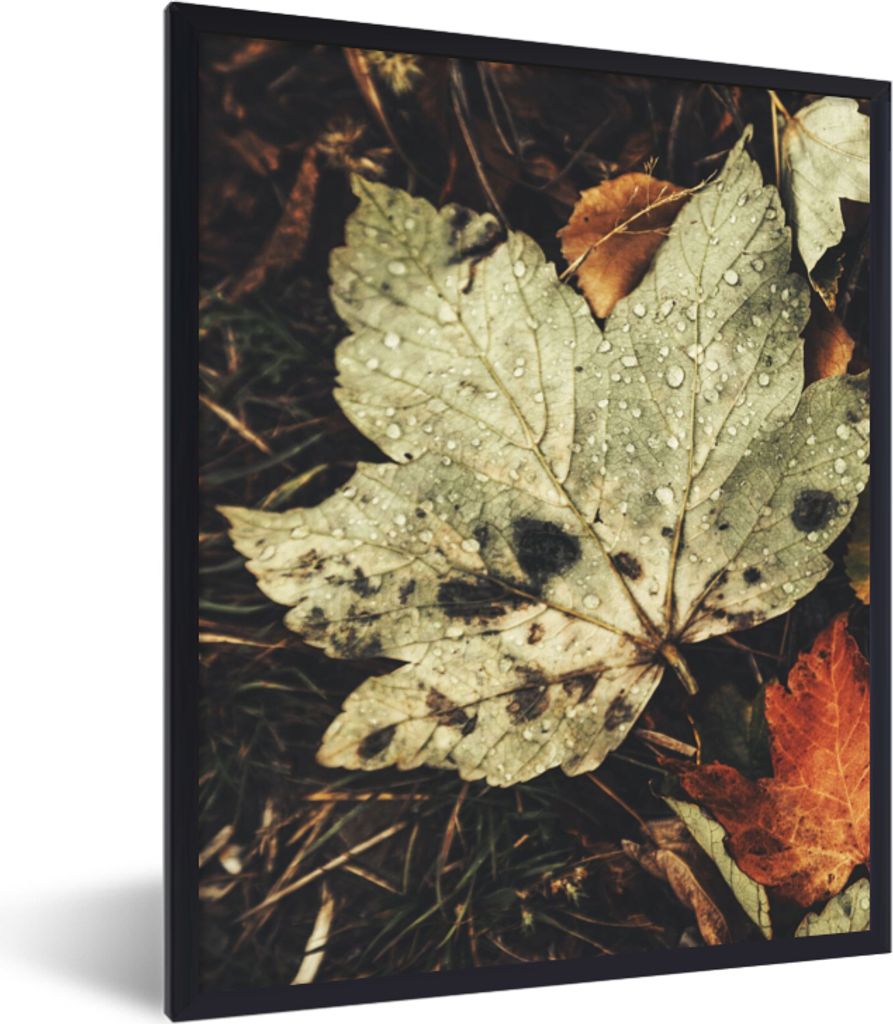 MuchoWow Gerahmtes Poster Herbstblätter - Herbst - Jahreszeiten - Natur 30x40 cm - Poster mit Schwarzem Bilderrahmen Wandposter Rahmen Foto Bild...
