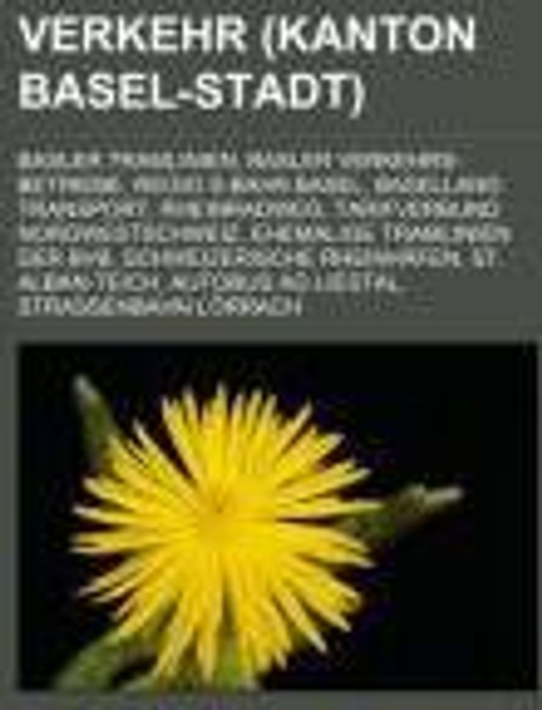 Verkehr (Kanton Basel-Stadt)