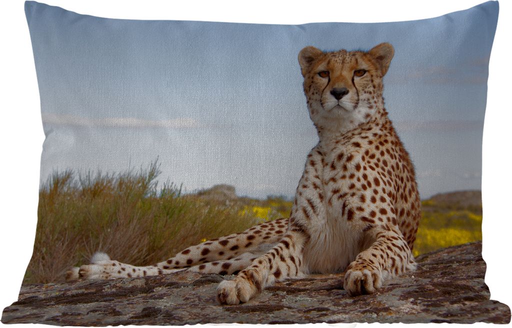 MuchoWow® Outdoor Kissen - Leopard - Tiere - Natur - 60x40 Produktbild 