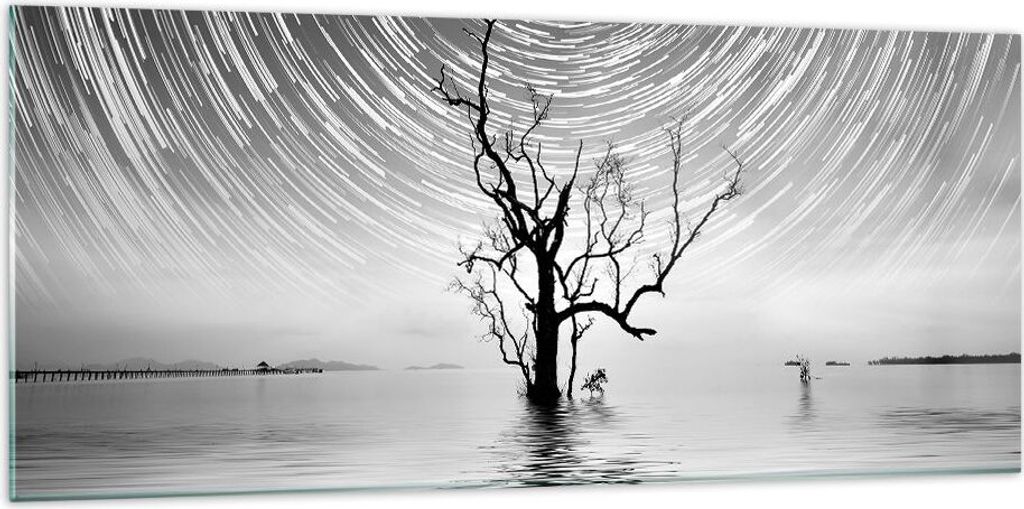 Bilder auf glas - Einteilig - Schwarzweiß Baum See - 120x50cm - Glasbilder - Wandbilder - Bilder - zum Aufhängen bereit - Wanddekoration aus Glas...