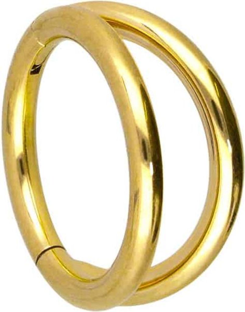 Ohrpiercing, Nasenpiercing, Septum Piercing Titan Segmentring Clicker 2 RINGE Gold Innendurchmesser: 8mm + Stabstärke: 1,2mm