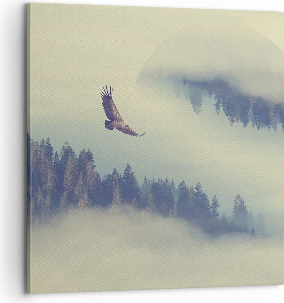 Bild auf Leinwand - Leinwandbild - Vogel Natur Wald - 60x60cm - Wand Bild - Wanddeko - Wandbilder - Leinwanddruck - Bilder - Kunstdruck - Wanddekor...