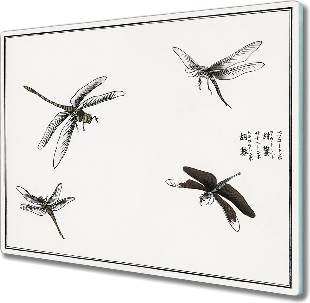Coloray Hackbrett Herdabdeckplatte 60x52 cm Küchenbrett Produktbild 