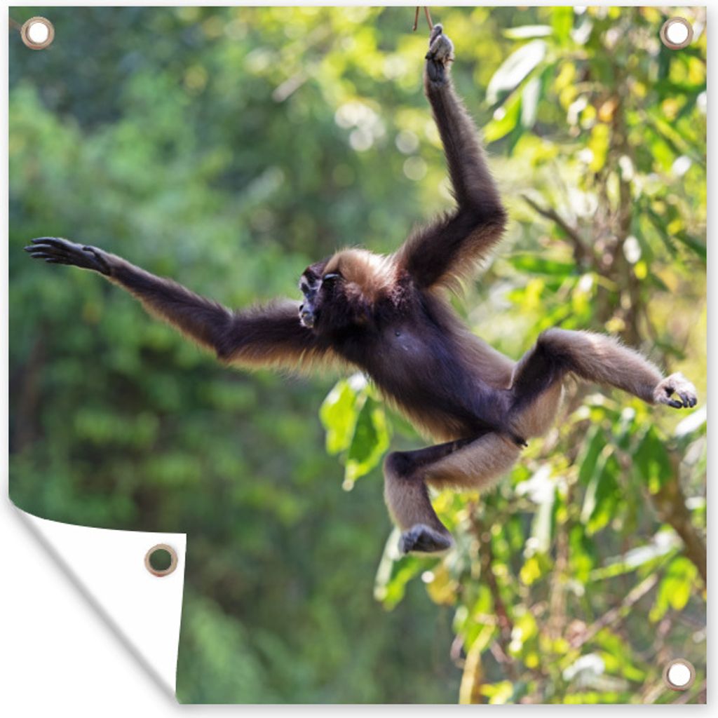 MuchoWow 50x50 cm Outdoor-Poster Gartendeko Sichtschutz Garten Poster für den Garten Springender Affe im Dschungel