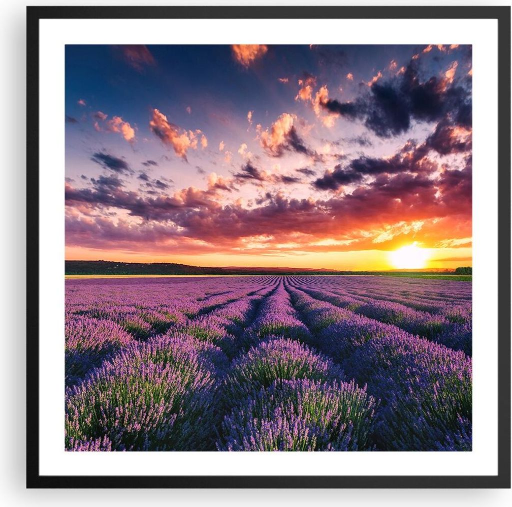 Gerahmtes Poster - Schwarzer Rahmen - Lavendel Berge Feld - 60x60 cm - Wand Bild - Wanddeko - Wandbilder - Kunstposter - Wandposter - Bilderrahmen ...