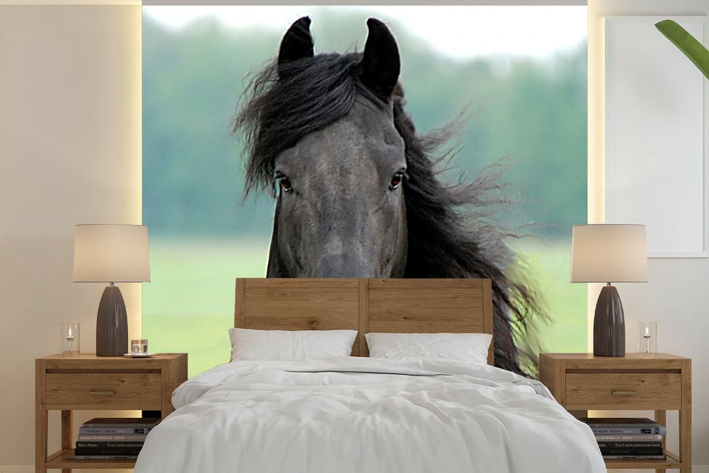 MuchoWow Fototapete für Wohnzimmer oder Schlafzimmer Wandtapete Vinyl Motivtapete Friesisch - Pferd - Gras - 280x280 cm - Hintergrundbild