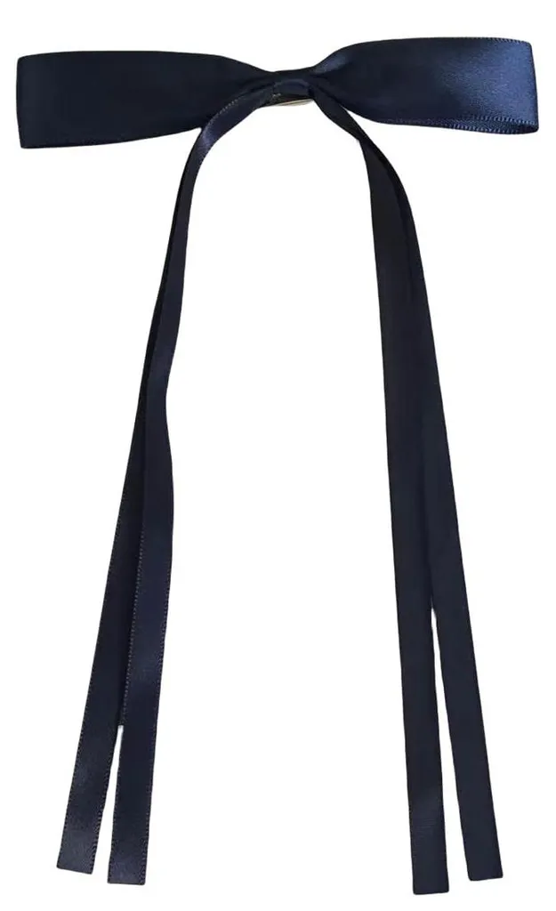 Finis les cheveux en bataille : lot de 2 barrettes bleu marine longue tenue