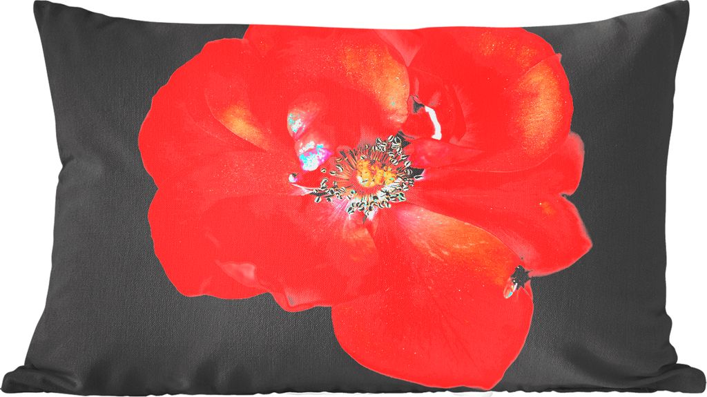 MuchoWow Zierkissen Sofakissen Wohnzimmer Dekokissen 50x30 cm Ein Bild einer roten Pfingstrose auf schwarzem Hintergrund - Wohnzimmerdekoration -...