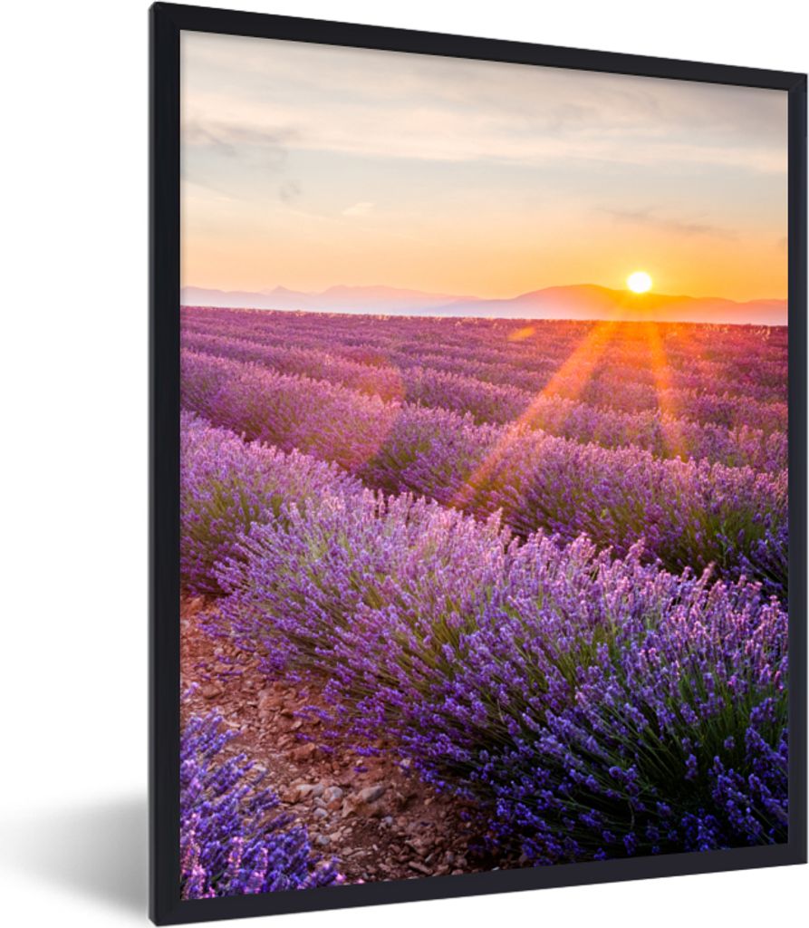 MuchoWow Gerahmtes Poster Lavendel - Sonnenuntergang - Blumen - Lila 30x40 cm - Poster mit Schwarzem Bilderrahmen Wandposter Rahmen Foto Bilder -...