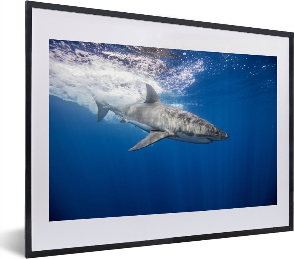 MuchoWow MuchoWow Gerahmtes Poster Hai - Meer - Wasser 40x30 cm - Poster mit zchwarzem Bilderrahmen - Bilderrahmen - Poster im Rahmen