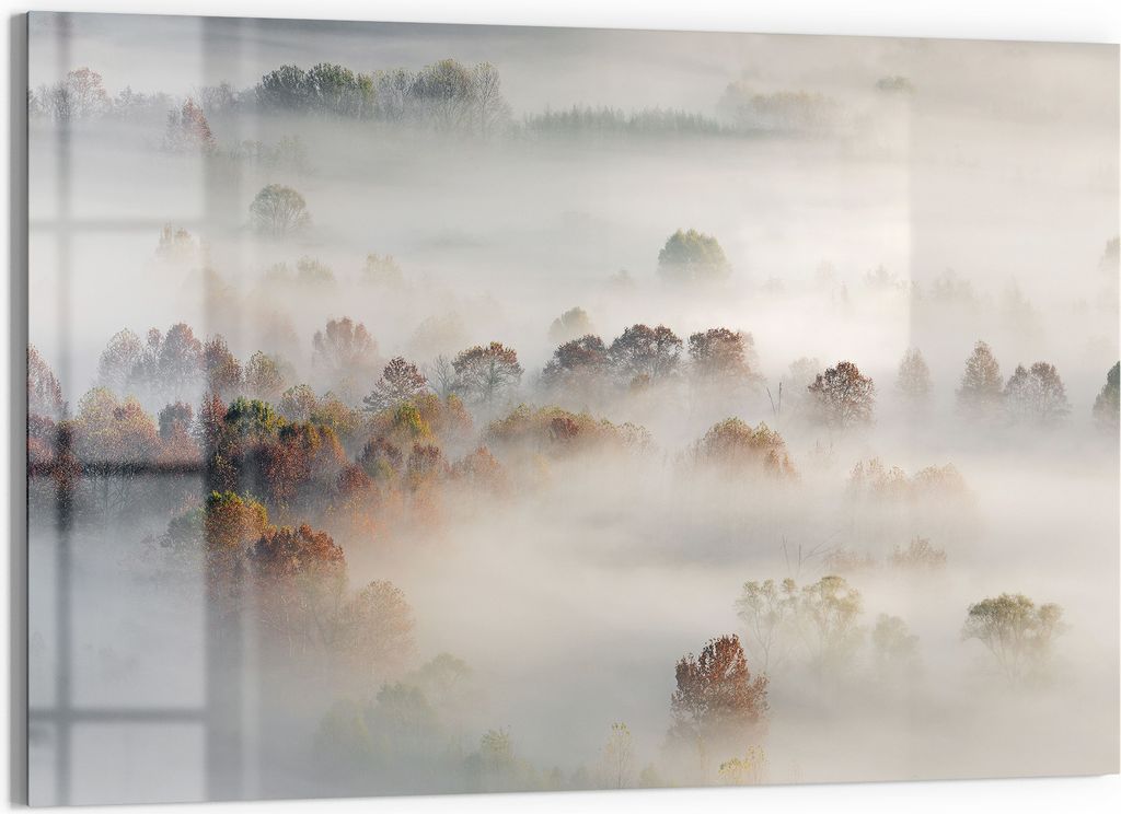 DEQORI Magnettafel Glas 90x60 cm 'Morgendlicher Nebelwald' beschreibbar Whiteboard Küche