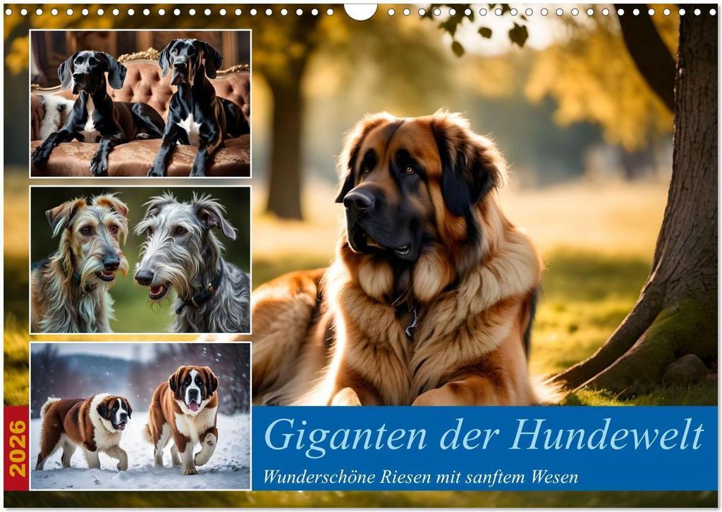 Giganten der Hundwelt (Wandkalender 2026 DIN A3 quer), CALVENDO Monatskalender