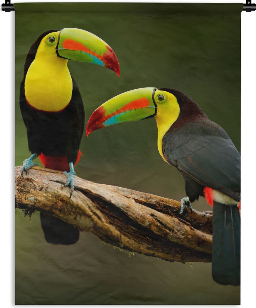 MuchoWow Wandteppich Wandbehang Vögel - Tukan - Zweig - Tiere - Regenbogen 90x120 cm Tapisserie Dekoration Wandtuch - Wanddeko