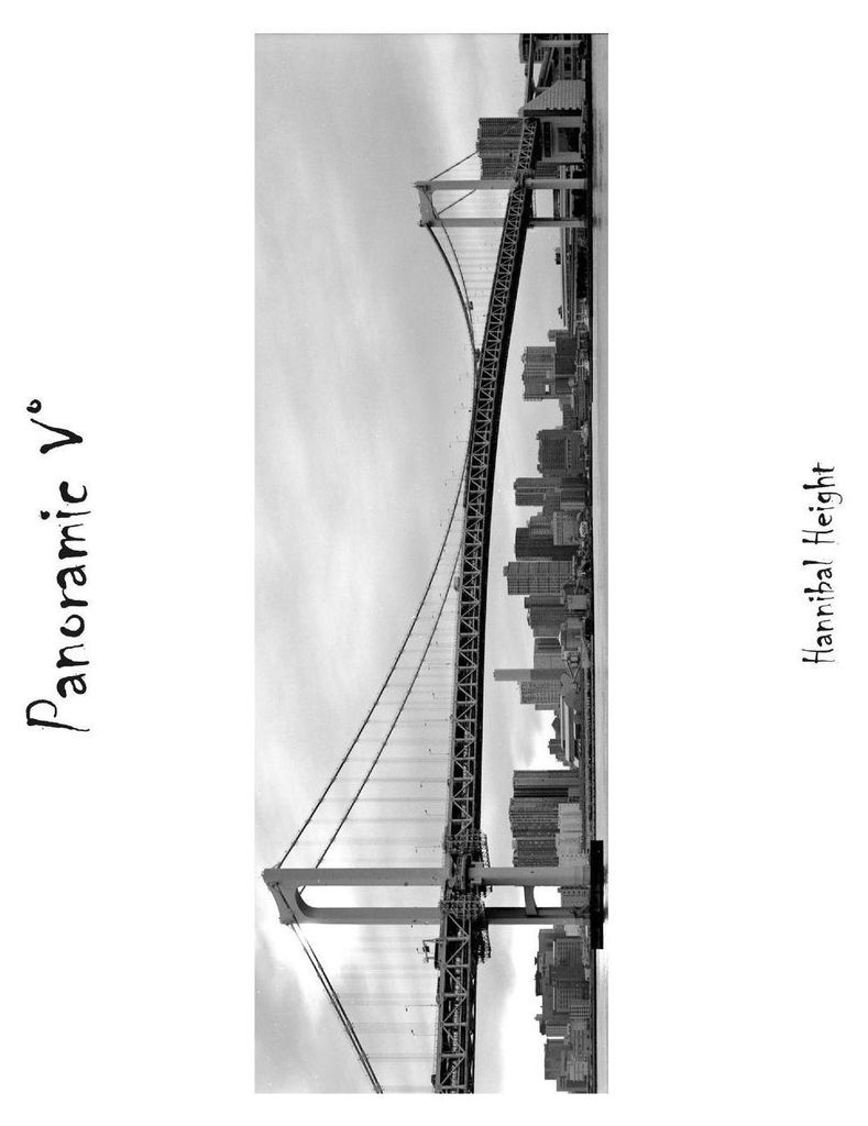Panoramic V°