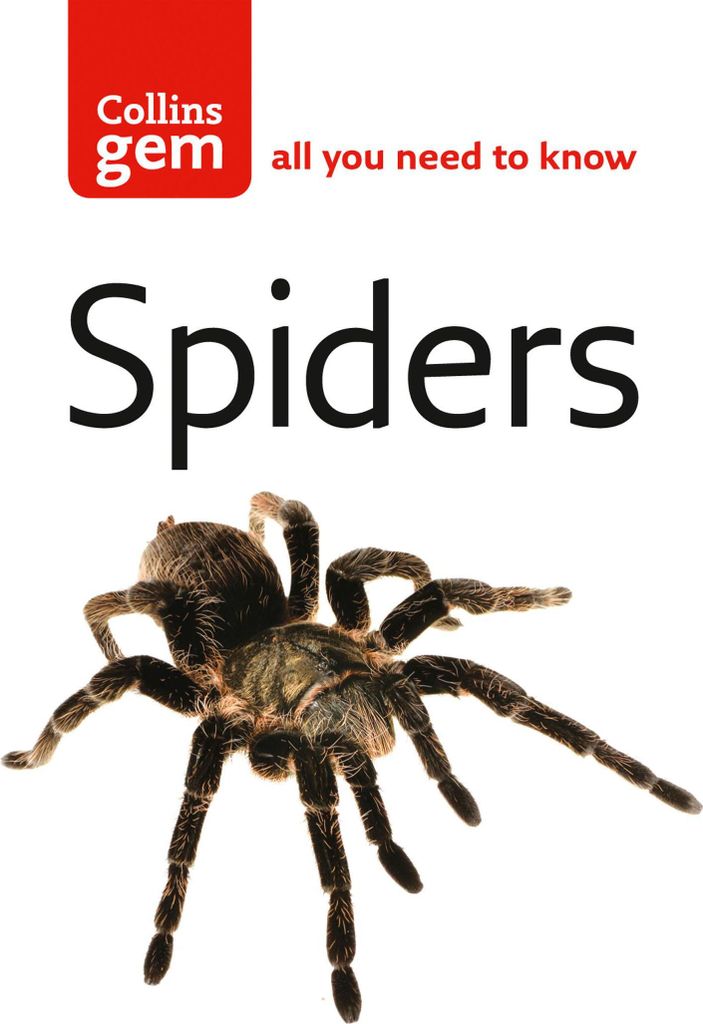 Spiders