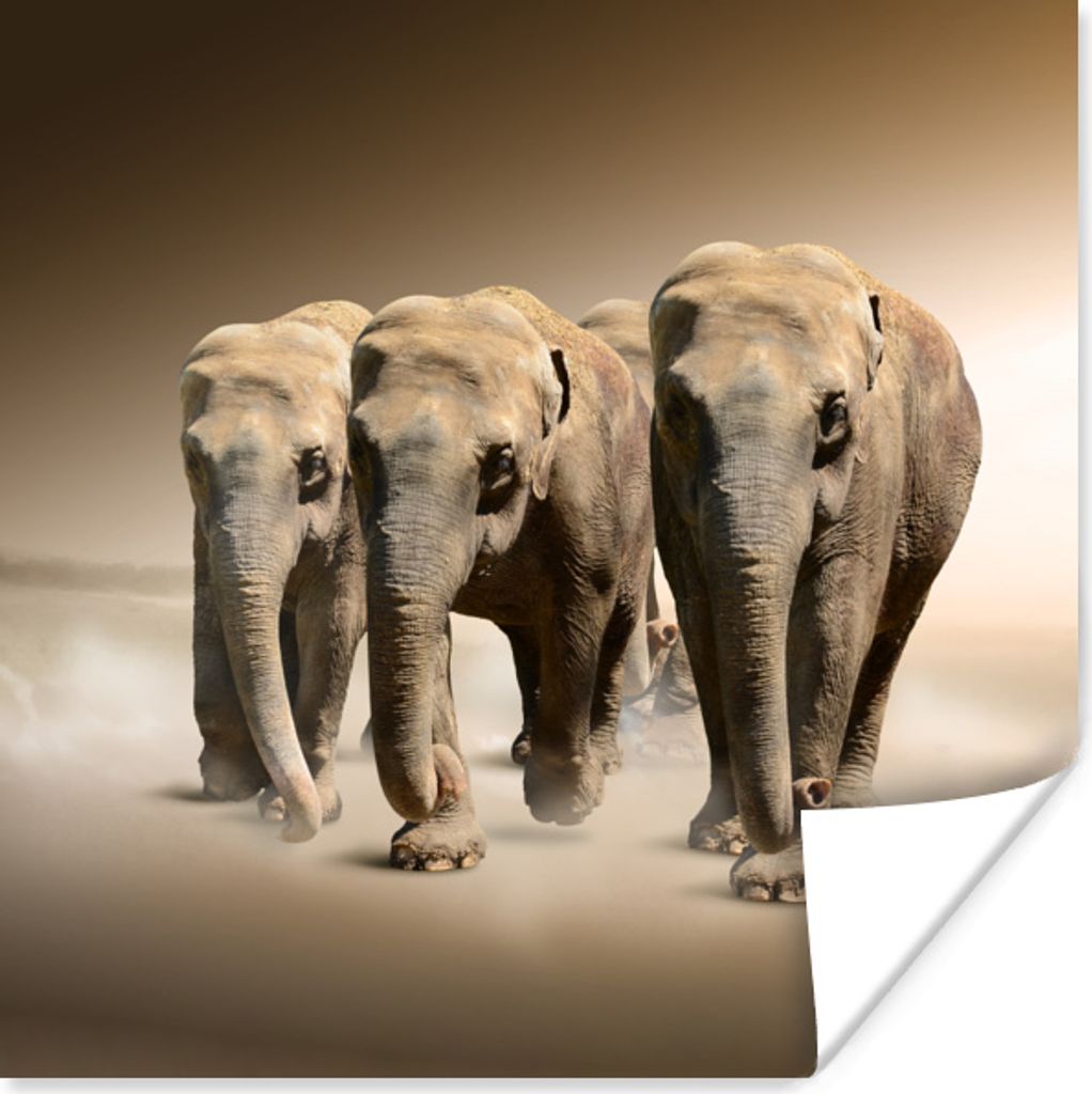 MuchoWow Poster Elefant - Nebel - Landschaft 50x50 cm - Wohnzimmerdekoration