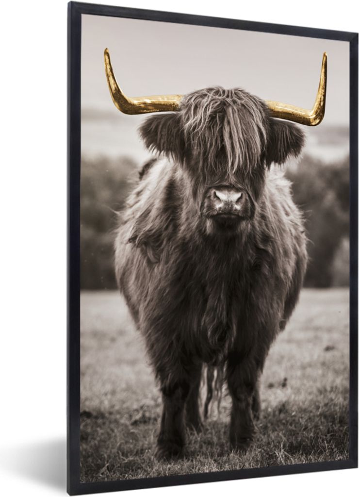 MuchoWow MuchoWow Gerahmtes Poster Scottish Hochlandrind - Schwarz - Weiß - Gold 40x60 cm - Poster mit zchwarzem Bilderrahmen - Papierdruck - ...
