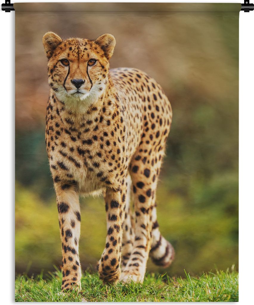 MuchoWow Wandteppich Wandbehang Wildtiere - Gras - Leopard - Natur 120x160 cm Tapisserie Dekoration Wandtuch - Wohnzimmer - Moderne