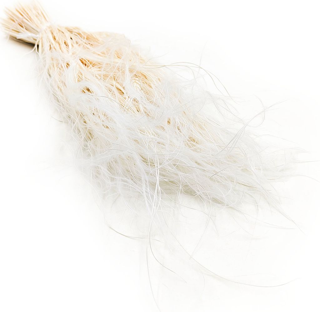 Federgras Getrocknete - (Stipa pennata) - Gebleicht Produktbild 