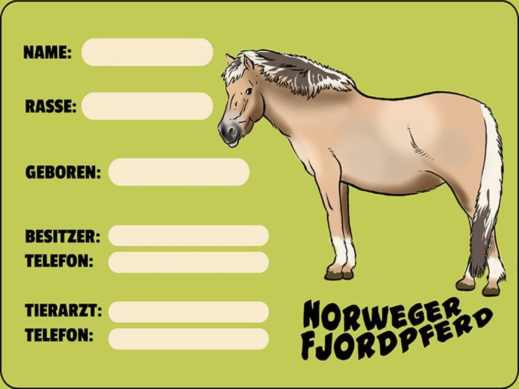 vianmo Holzschild 30x40 cm Pferd Norweger Fjordpferd Angaben Name