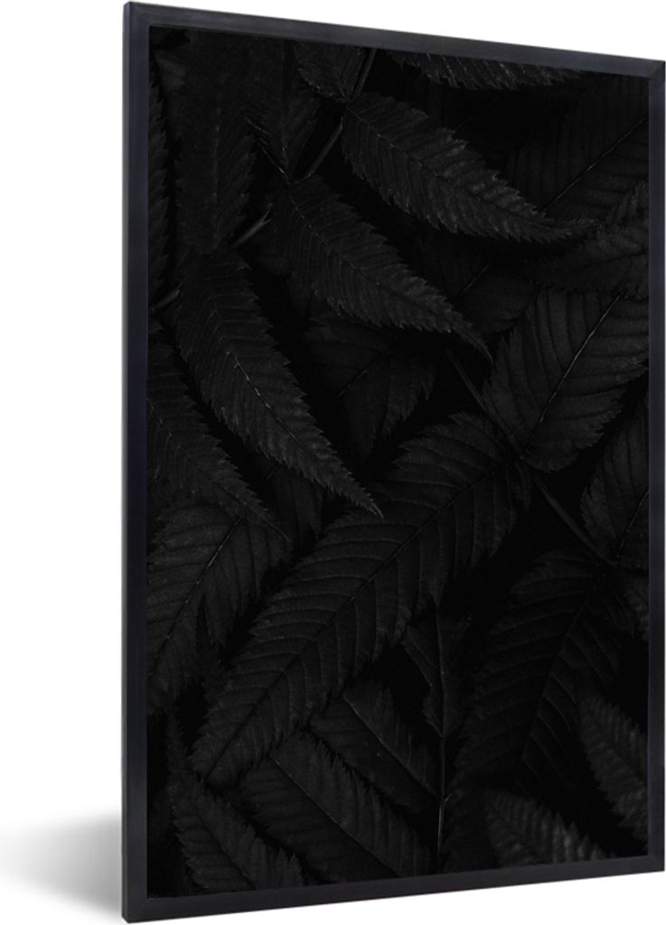 MuchoWow Gerahmtes Poster Blätter - Schwarz - Weiß - Pflanzen - Botanisch 40x60 cm - Poster mit Schwarzem Bilderrahmen Wandposter Rahmen Foto B...