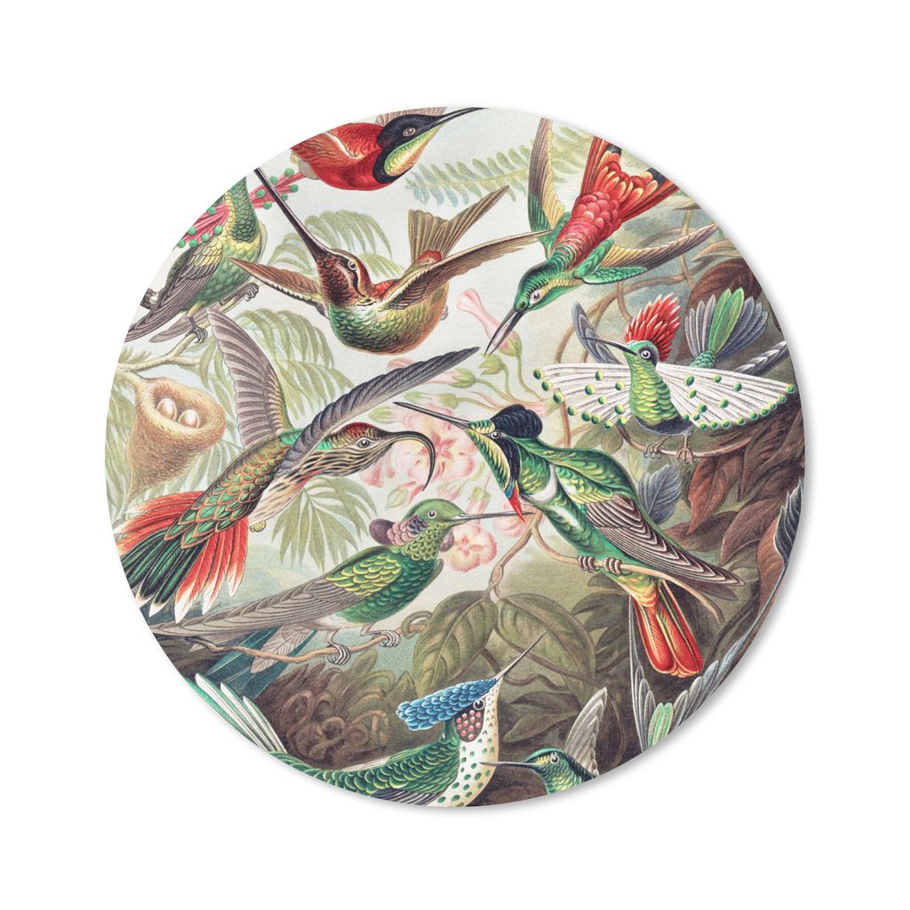 MuchoWow Mauspad Mousepad Kolibri - Vintage - Ernst Haeckel - Vogel - Kunst - Natur 20x20 cm - Mousepads - Maus Mat - Pad - Mausunterlage - Schre...