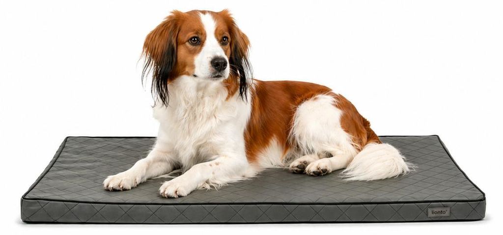 tappeto ortopedico per cani lionto, superficie di sdraio in Immagine del prodotto 