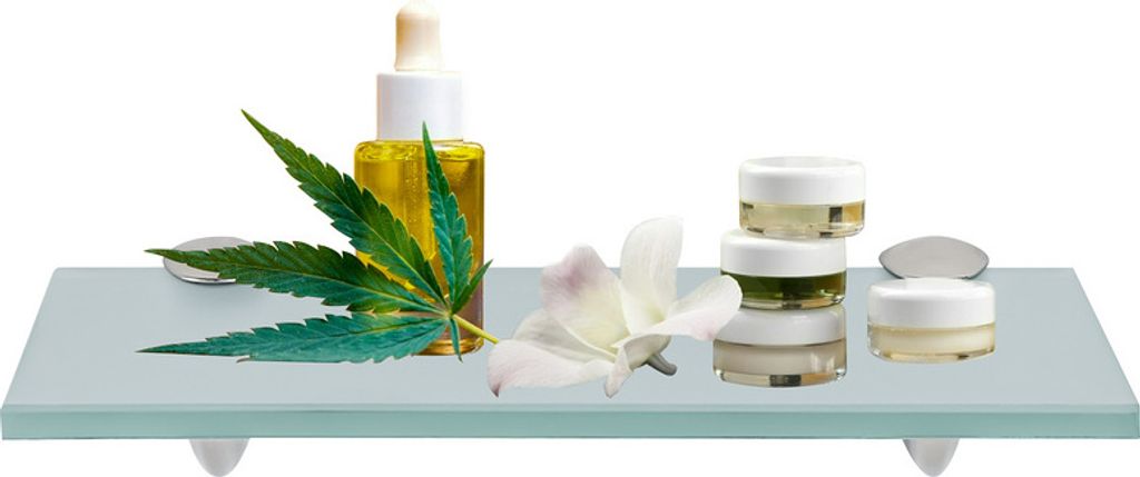 TolleTour Glasablage Glasregal ideal für Bad, Dusche und zur modernen Dekoration mit Halterung aus Edelstahl 8 mm 40x10 cm Milchglas