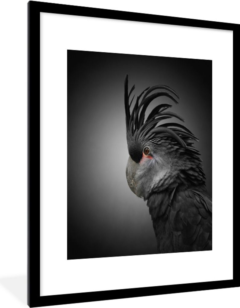 MuchoWow MuchoWow Gerahmtes Poster Nahaufnahme Schwarzer Kakadu 60x80 cm - Poster mit zchwarzem Bilderrahmen - Wohnzimmer - Dekorationen - Prämie
