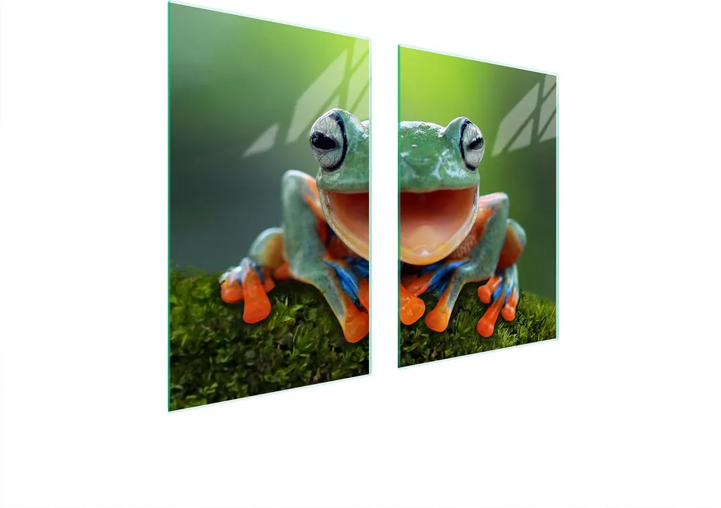 Piatto Di Protezione In Vetro Per Cucina 65X52 Frosch