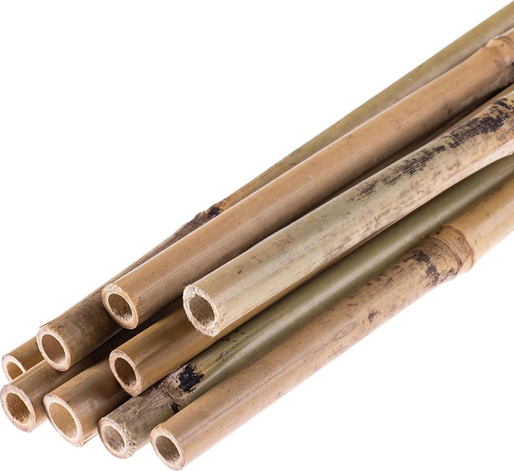 Bambusstäbe - Pflanzstäbe - 150 cm - Ø 18–20 mm - 15er Set
