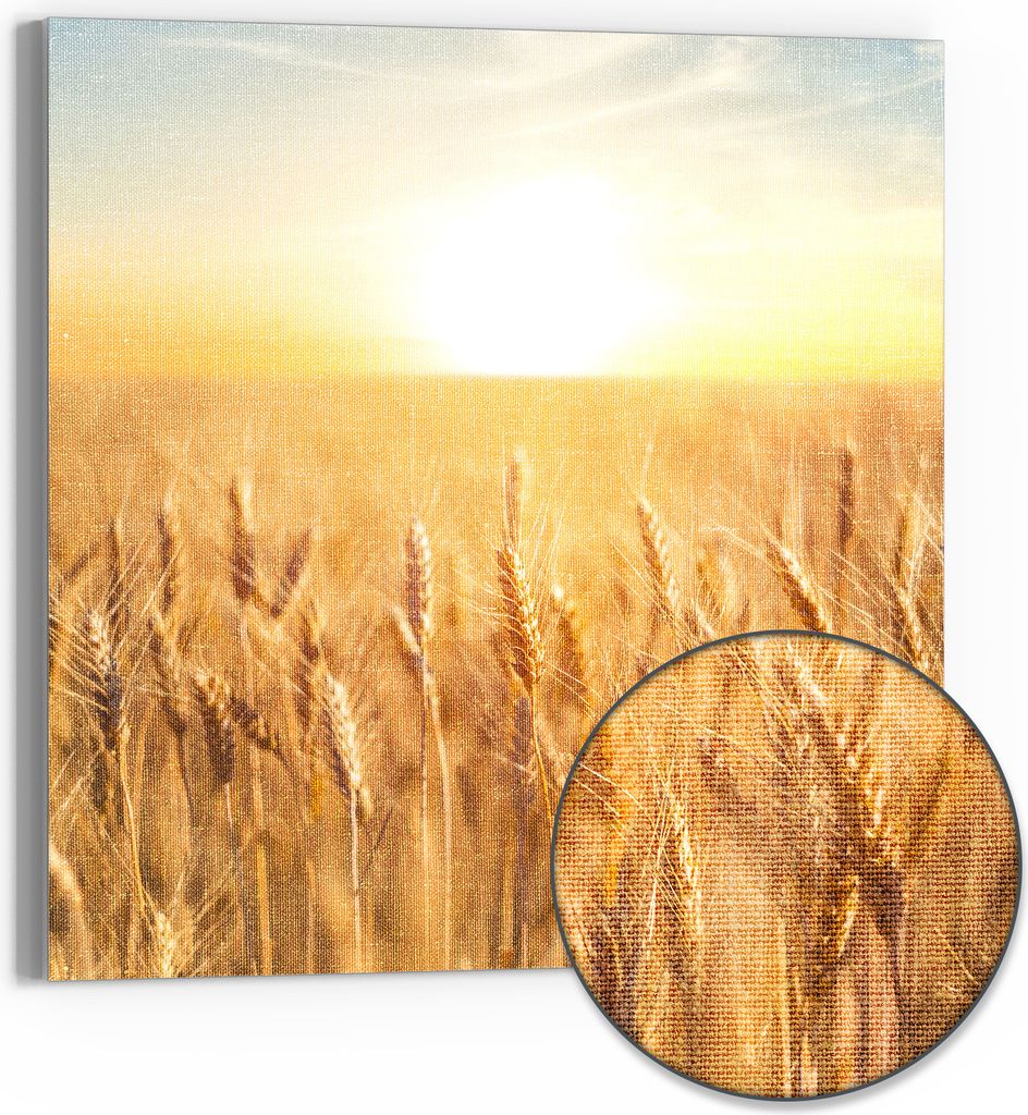 DEQORI Hybrid Leinwand Bild 30x30 cm 'Goldene Ernte' Wandbild Glas flach modern