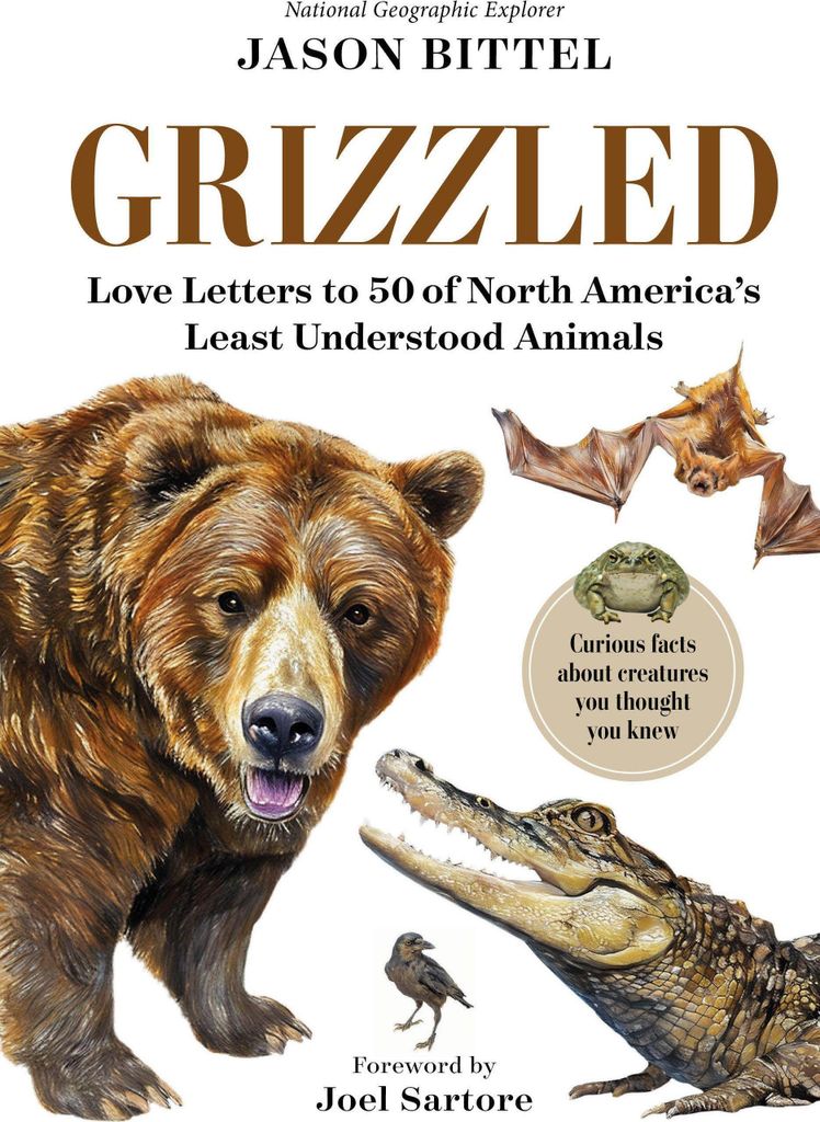Grizzled