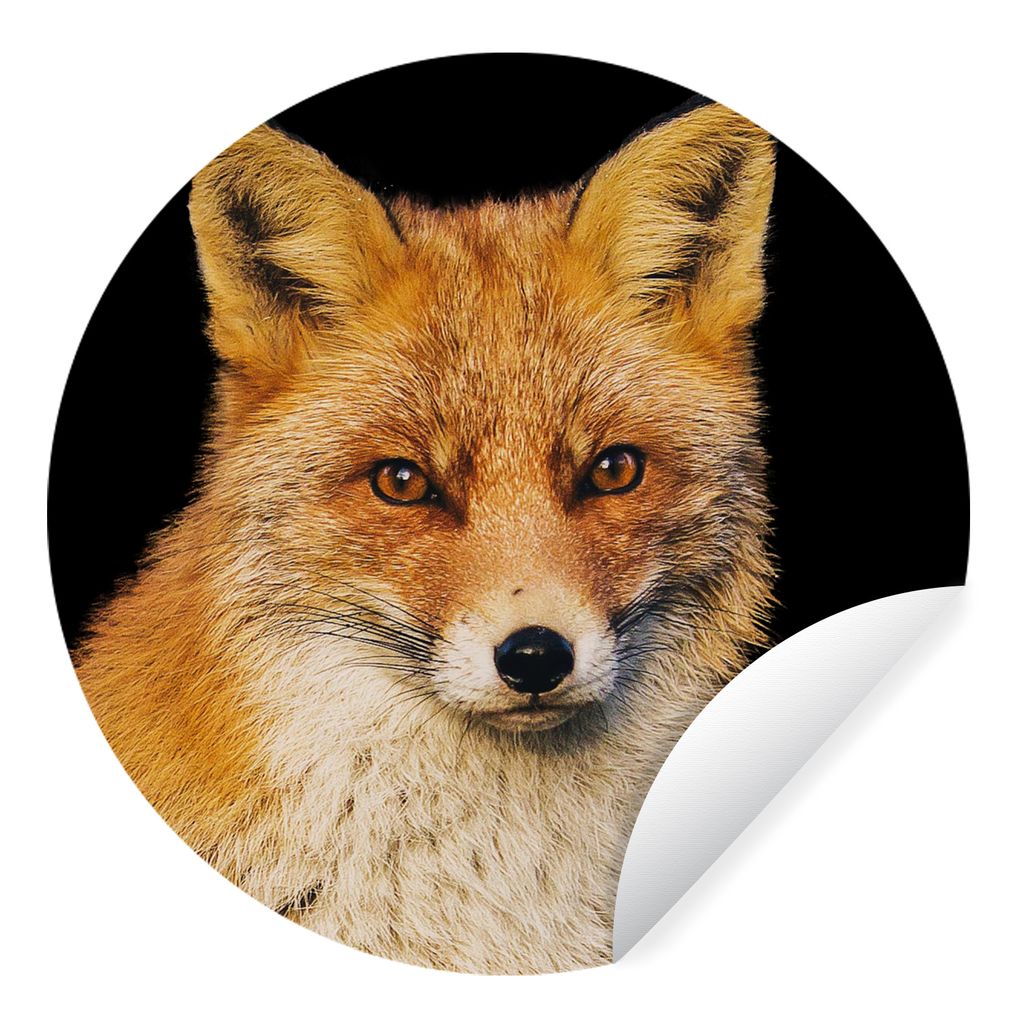 MuchoWow Runde Wandtattoo - Wandsticker Tapete Aufkleber Fuchs - Rot - Schwarz Ø 100 cm Selbstklebend und Repositionierbar - Wandaufkleber - Kre...