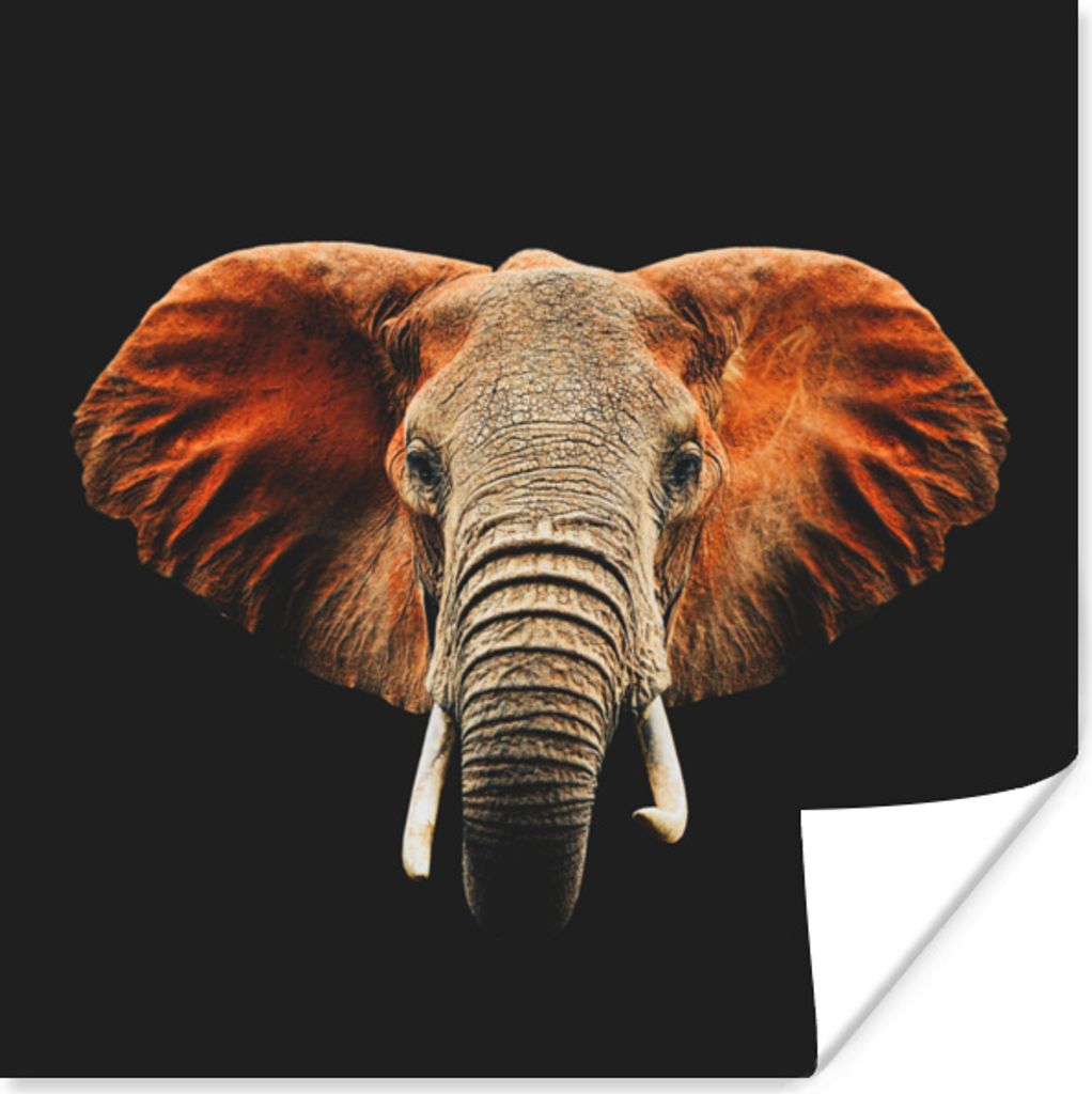 MuchoWow Poster Elefant - Tiere - Farben 30x30 cm - Wandposter - Printing