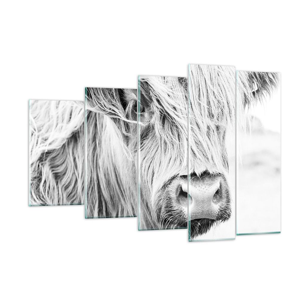 Bilder auf glas - 5 Teile - Kuh Scotch Tier - 150x100cm - Glasbilder - Wandbilder - Bilder - zum Aufhängen bereit - Wanddekoration aus Glas - Glas...